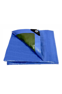 Product Μουσαμάς Γενικής Χρήσης Μπλε/Πράσινο 120gr 2x3m base image