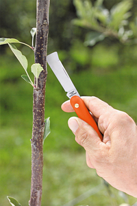 Product Pruning Knife 16.5cm base image