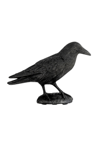 Product Bird Repeller Crow 15x34x47cm PTA6245 base image