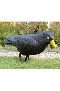 Product Bird Repeller Crow 13x20x40cm PTA6377 base image