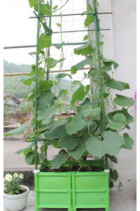 Product Στήριγμα Φυτών Μεταλλικό 150cm Φ16 base image