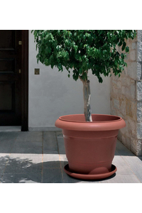 Product Flower Pot Plate Round Festone Terracotta base image