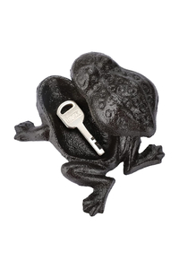 Product Key Hiding Case "Frog" Hi 57279 base image