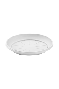 Product Flower Pot Plate Round Festone White base image